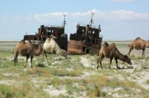 Aral sea