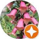 Valentina Gambarotto profile picture